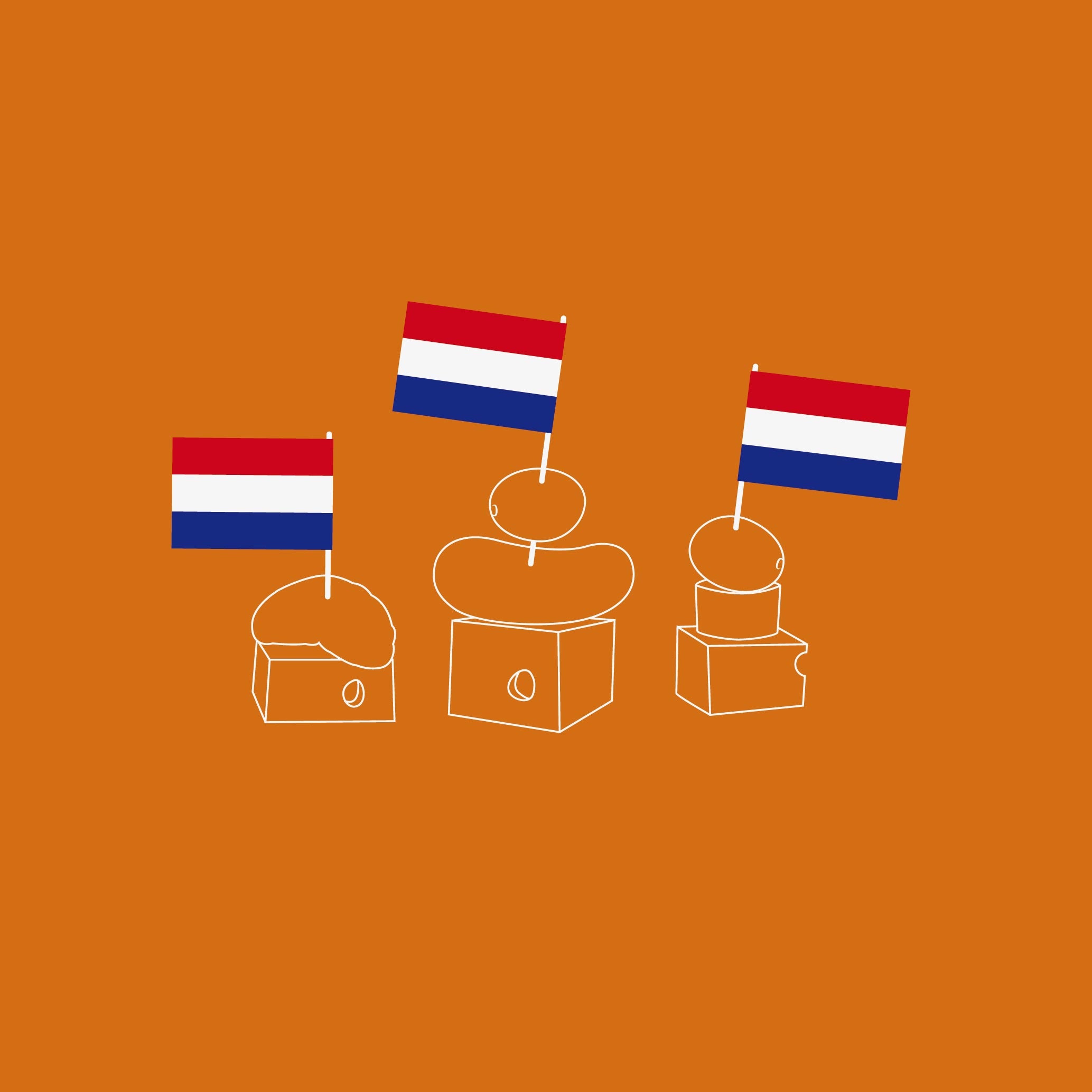 A Dutch Party