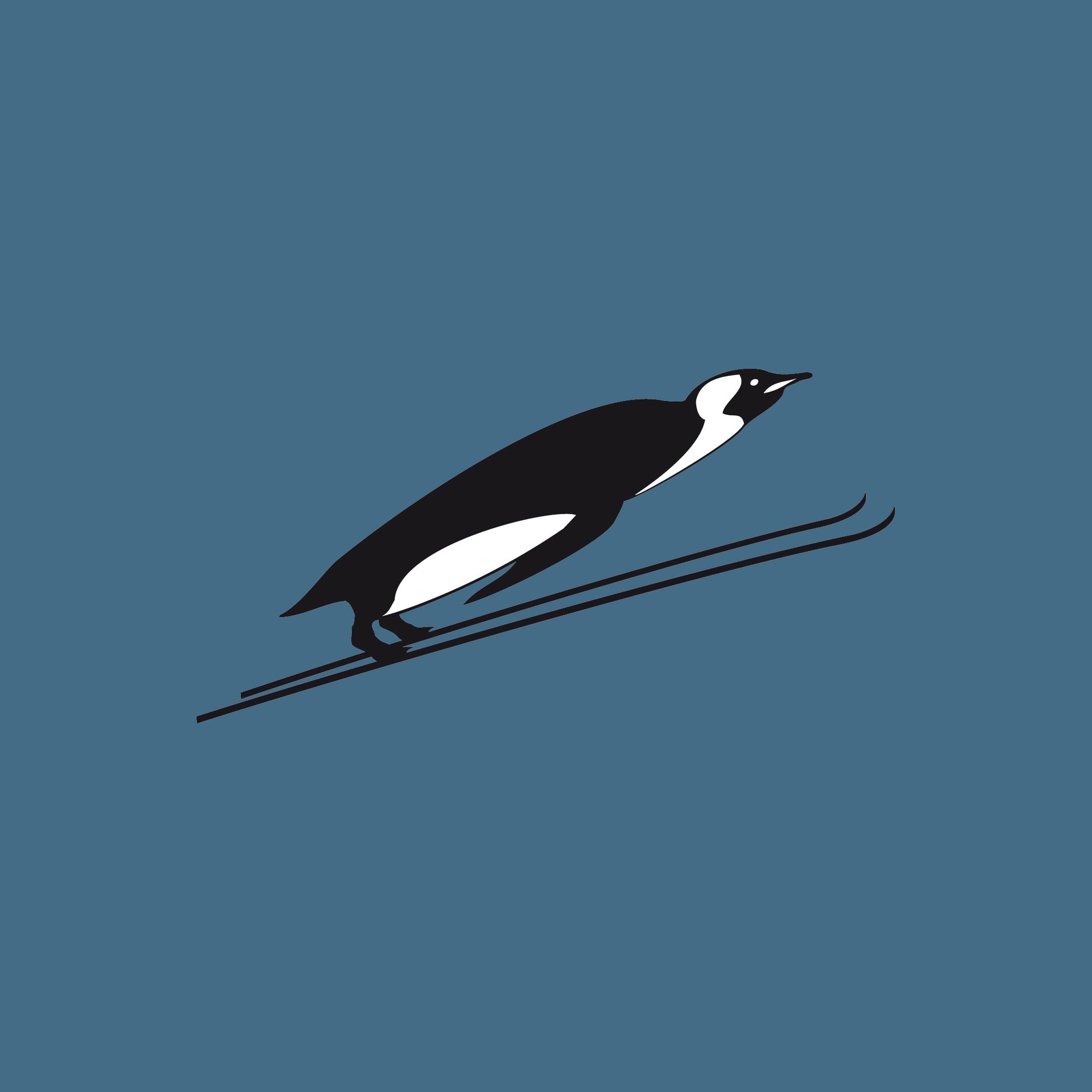 Flying Penguin