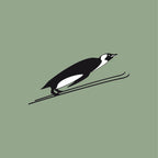 Flying Penguin