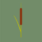 Grutte Tuorrebout