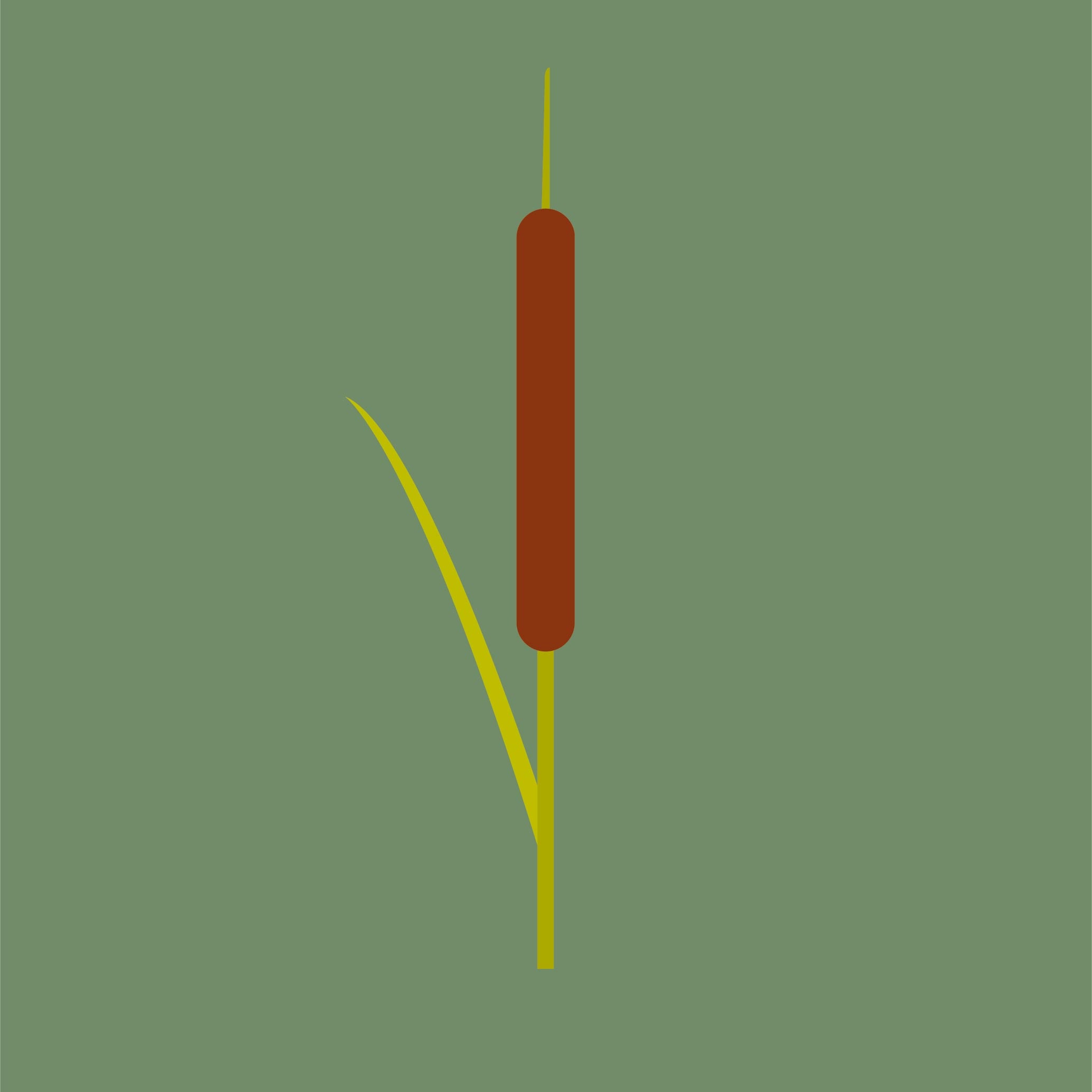 Grutte Tuorrebout