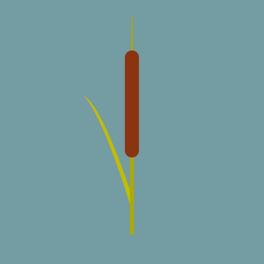 Grutte Tuorrebout