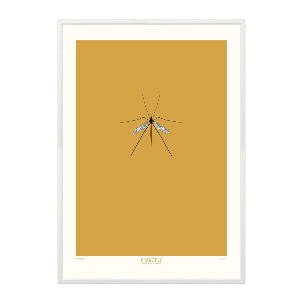Crane Fly - A2