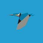 Alcedo Atthis - A4
