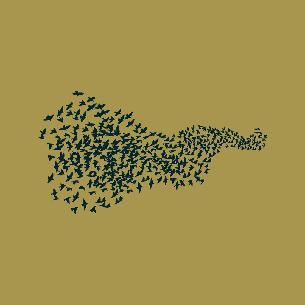 Murmuration