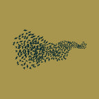 Murmuration