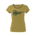 Murmuration