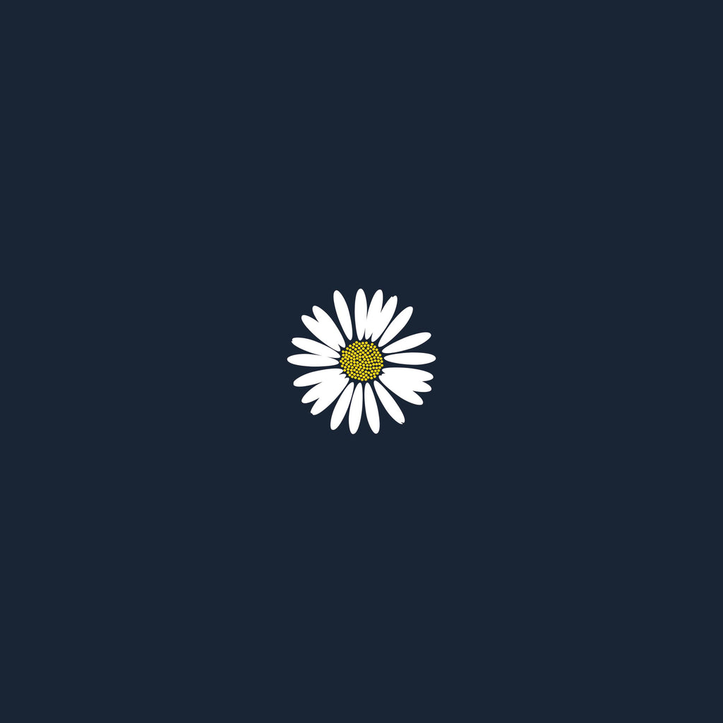 Bellis Perennis