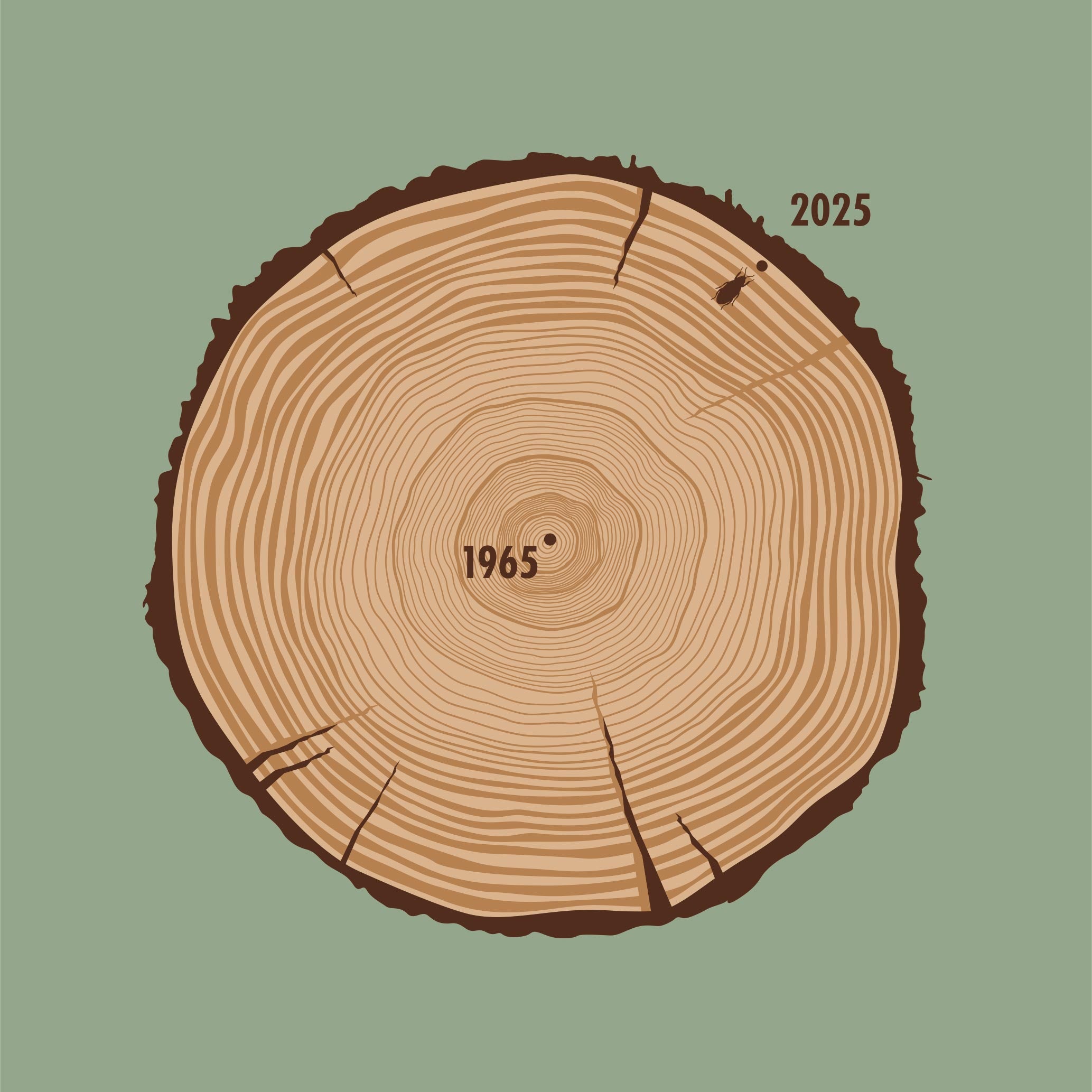 Aged To Perfection (1965 Edition)