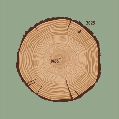 Aged To Perfection (1965 Edition)