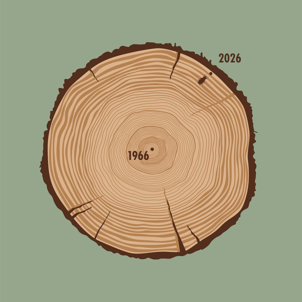Aged To Perfection (1966 Edition)