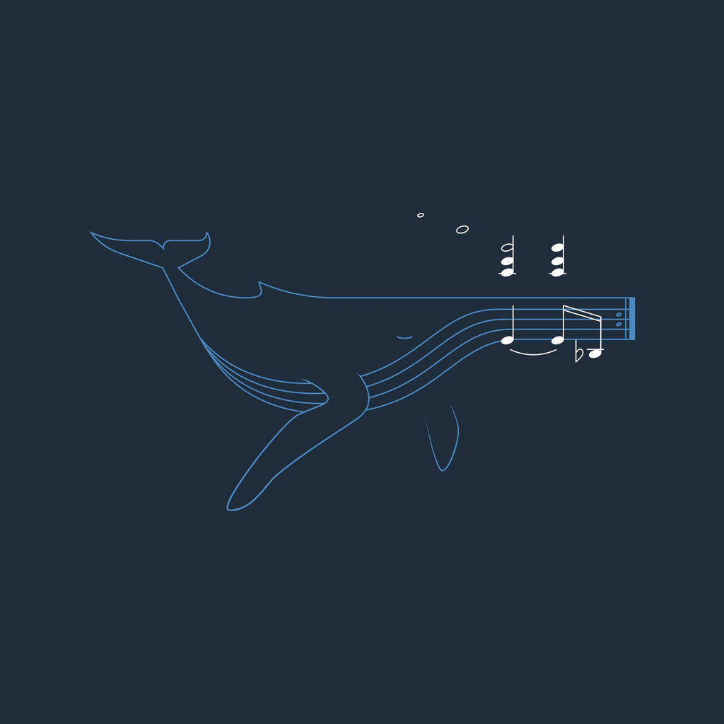 Whale Song