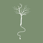 Recharge Them Woods