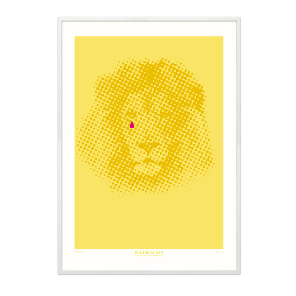 Panthera Leo - A2