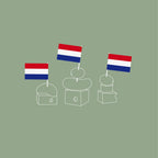 A Dutch Party