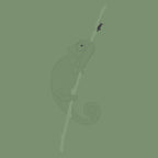 Karma Chameleon