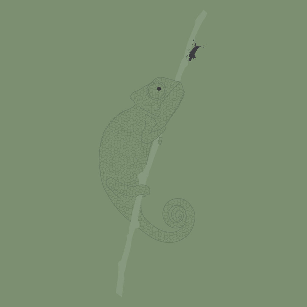 Karma Chameleon