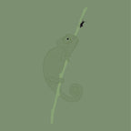 Karma Chameleon