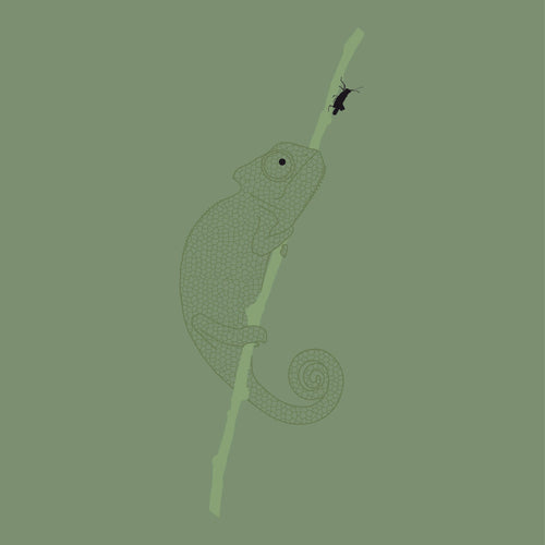 Karma Chameleon