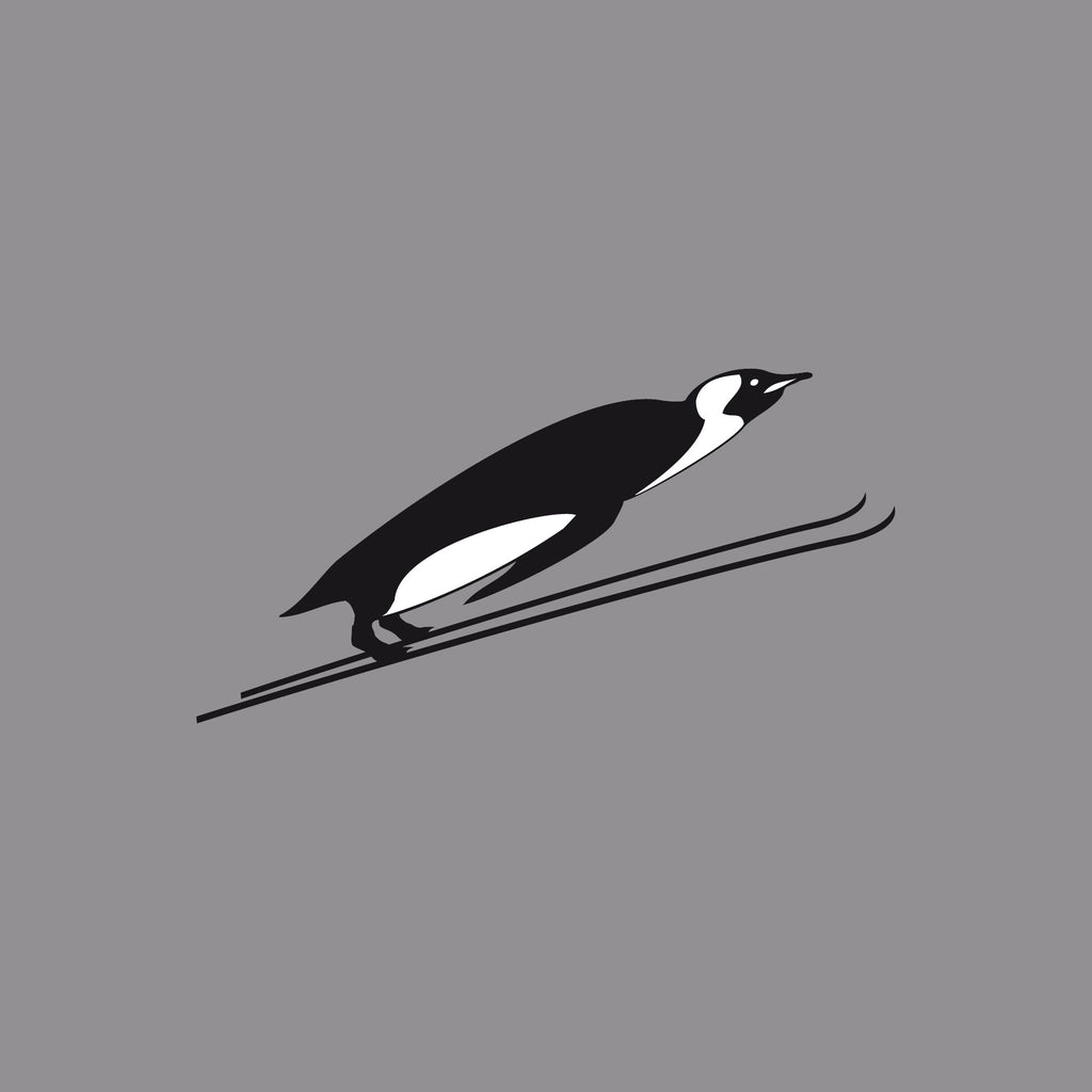 Flying Penguin