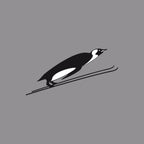 Flying Penguin