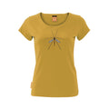 Crane Fly