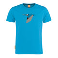 Alcedo Atthis