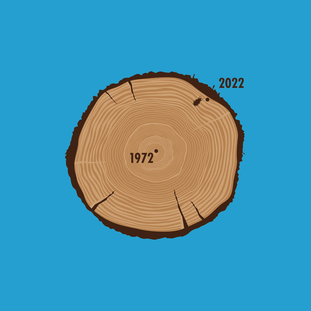 Aged To Perfection (1972 Edition)