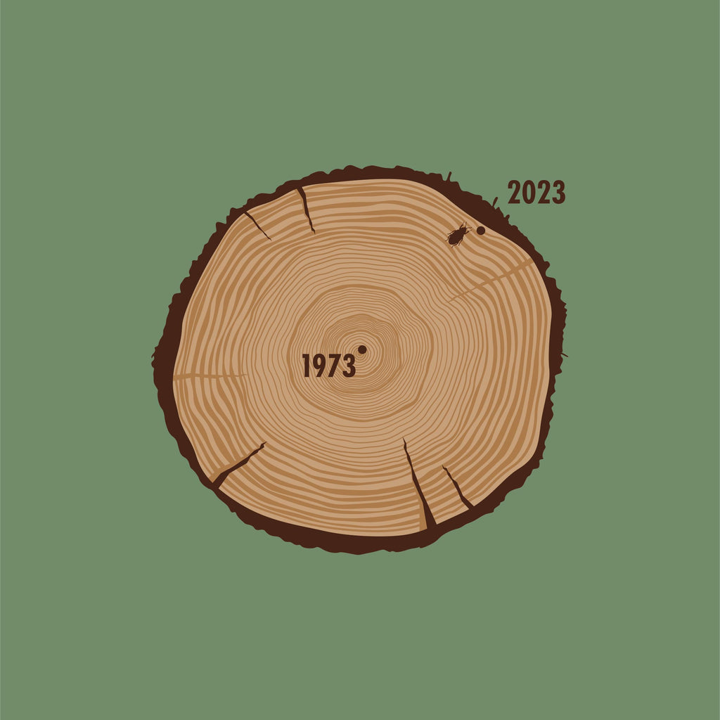 Aged To Perfection (1973 Edition)