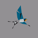Hirundo Rustica