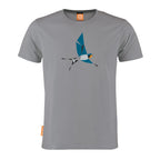 Hirundo Rustica
