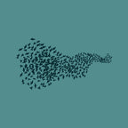 Murmuration