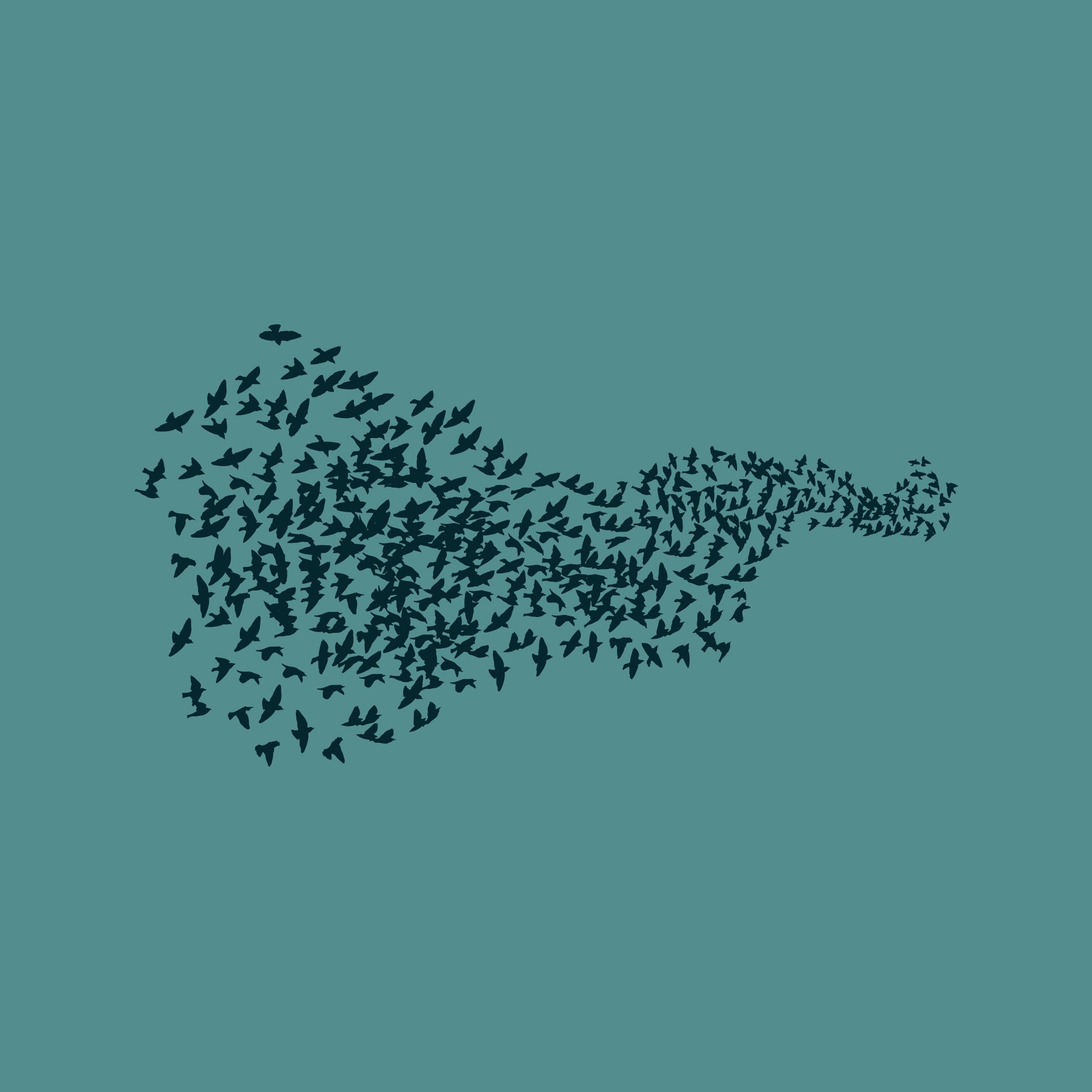 Murmuration