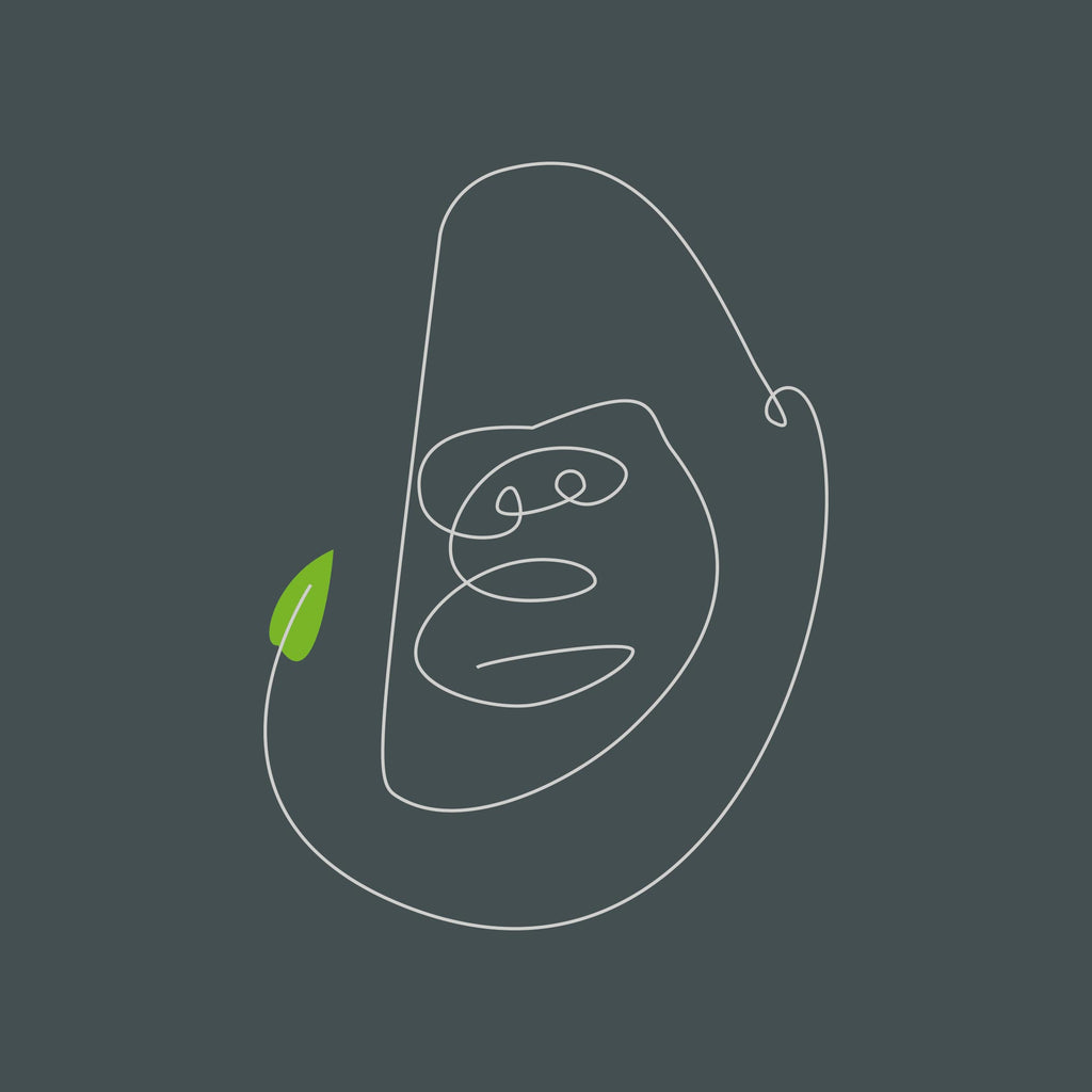 Bongo