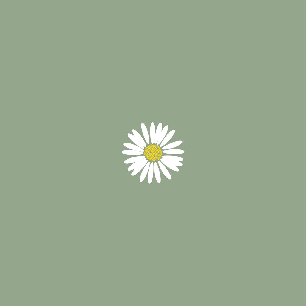 Bellis Perennis
