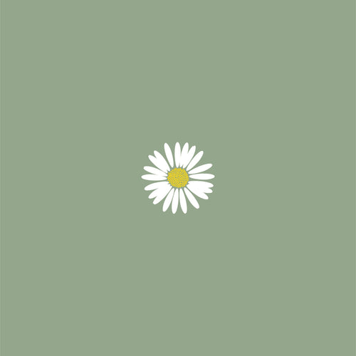 Bellis Perennis