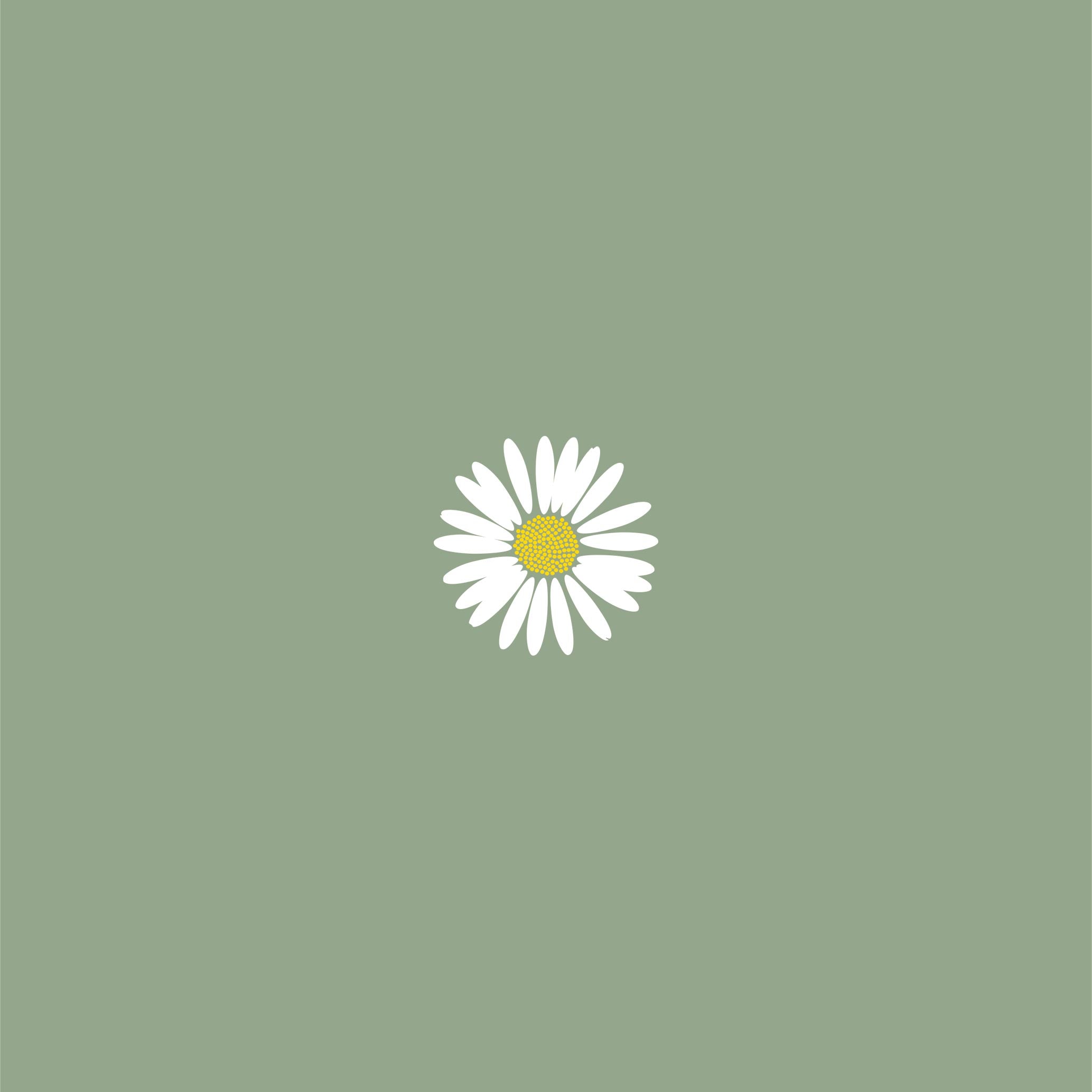 Bellis Perennis
