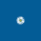Bellis Perennis