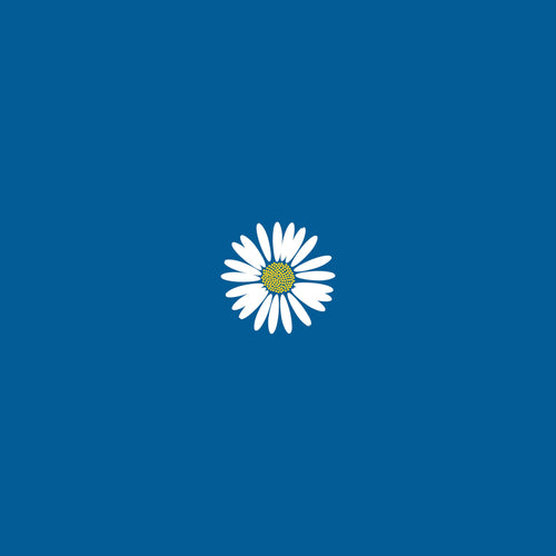 Bellis Perennis