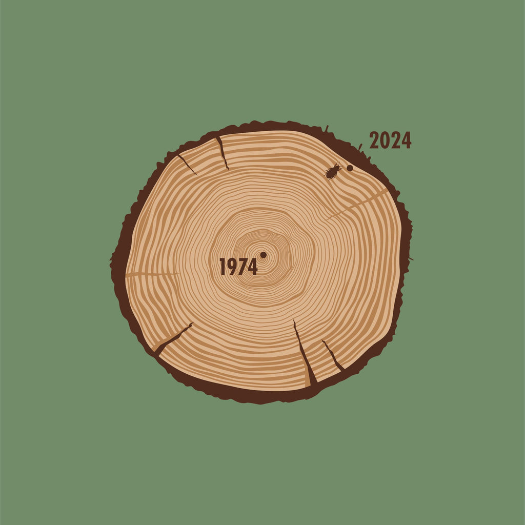 Aged To Perfection (1974 Edition)